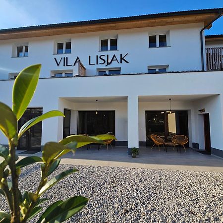 Vila Lisjak - Apartments Podcetrtek Esterno foto